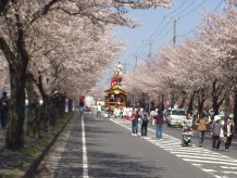 清久さくら通り